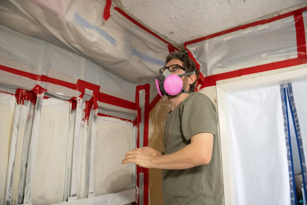 Mold Odor Removal Services in Harrisville, WV