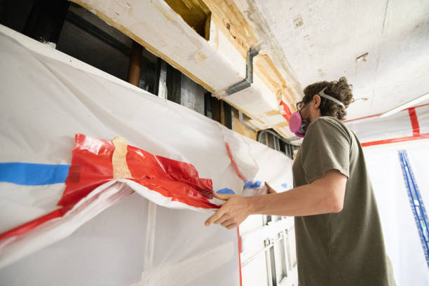 Harrisville, WV Mold Removal Company