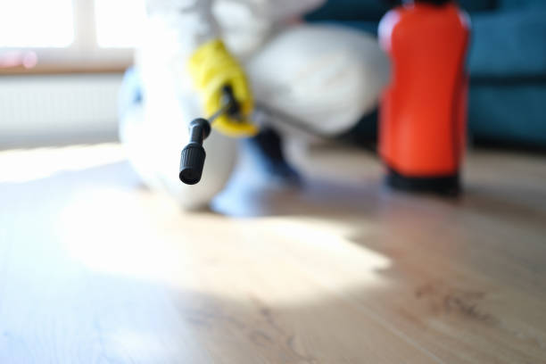 Best Water Damage & Mold Remediation  in Harrisville, WV